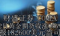 COMEX 2月黄金期货收涨056% 报182600美元盎司